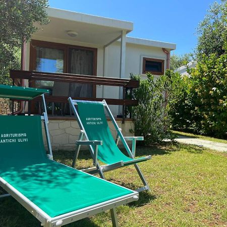 Agriturismo Antichi Ulivi Mattinata Εξωτερικό φωτογραφία