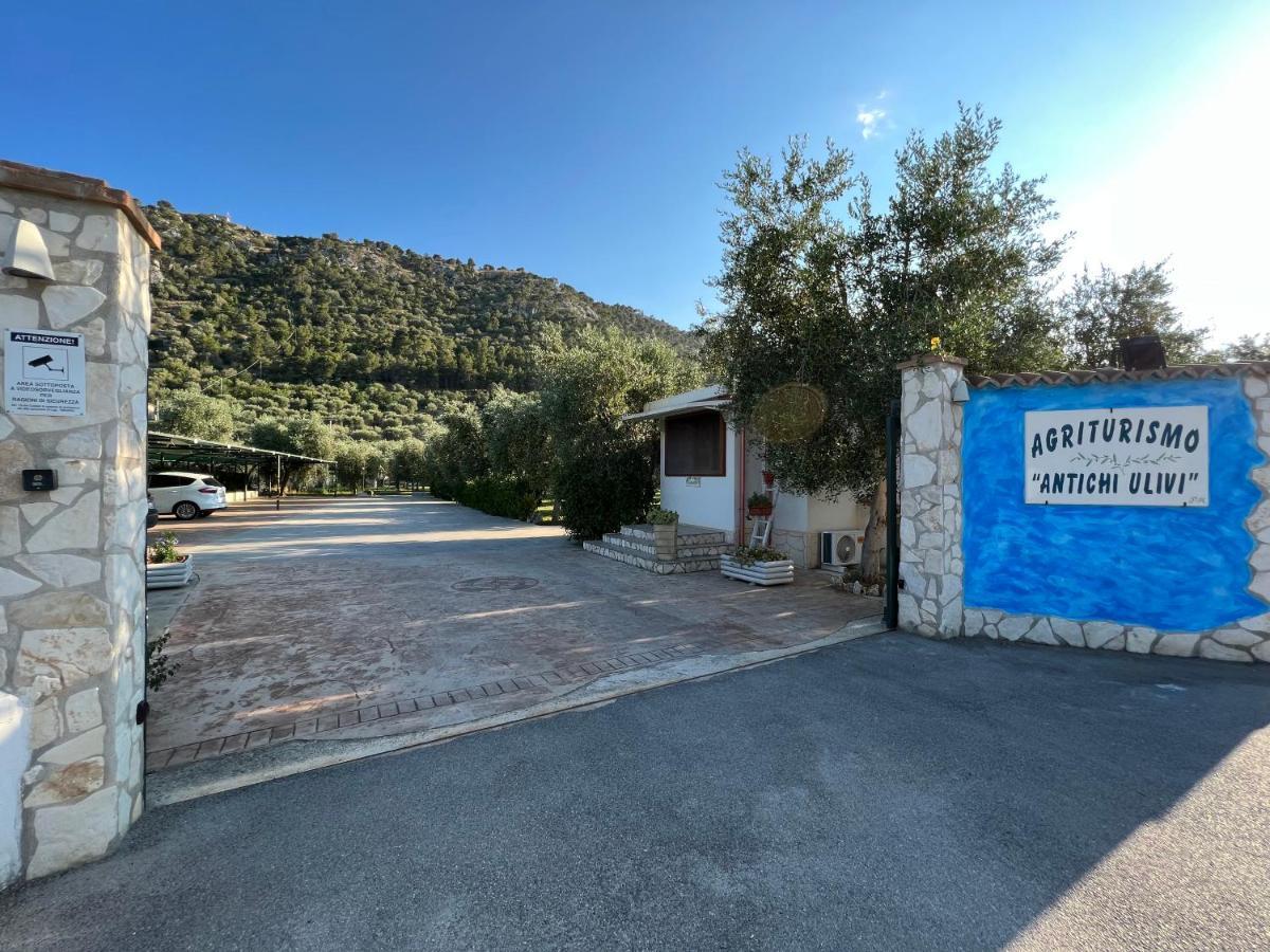 Agriturismo Antichi Ulivi Mattinata Εξωτερικό φωτογραφία
