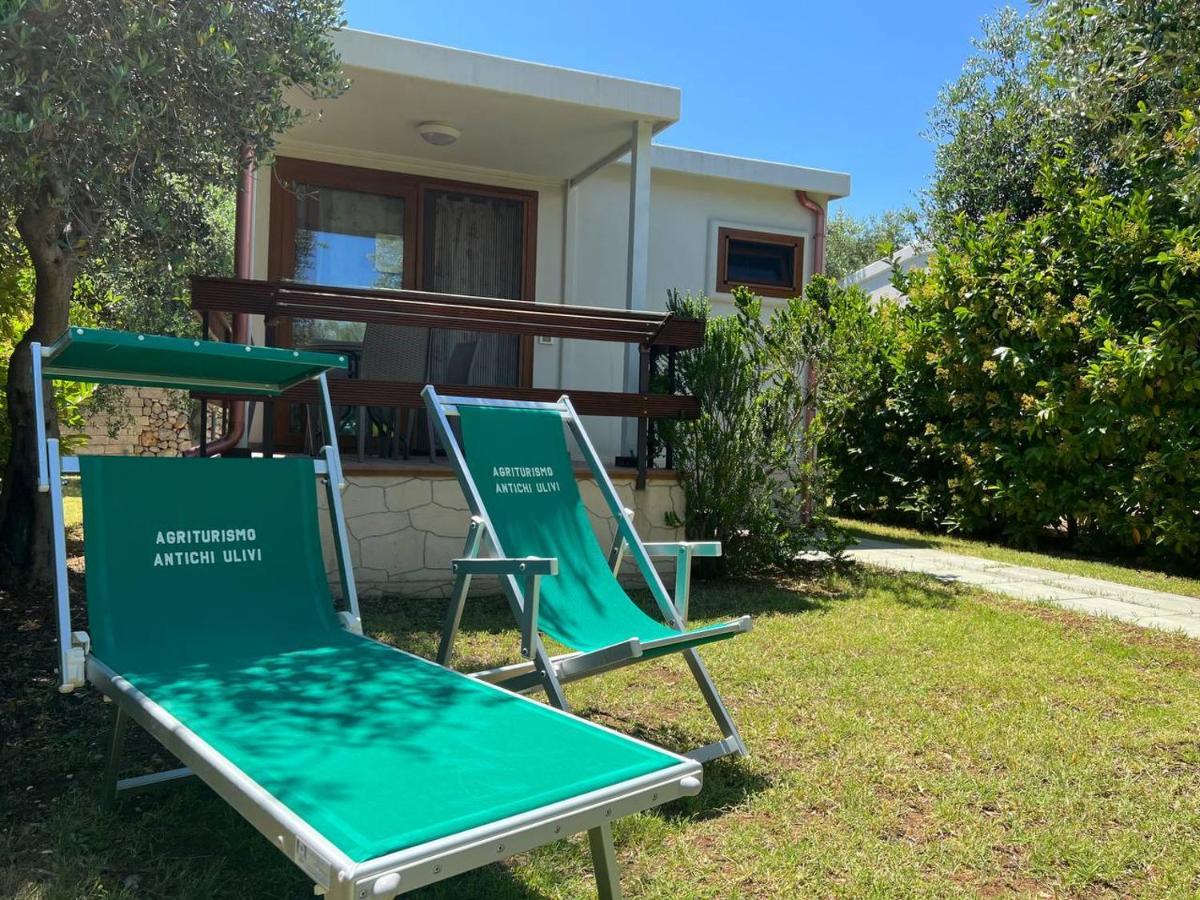 Agriturismo Antichi Ulivi Mattinata Εξωτερικό φωτογραφία