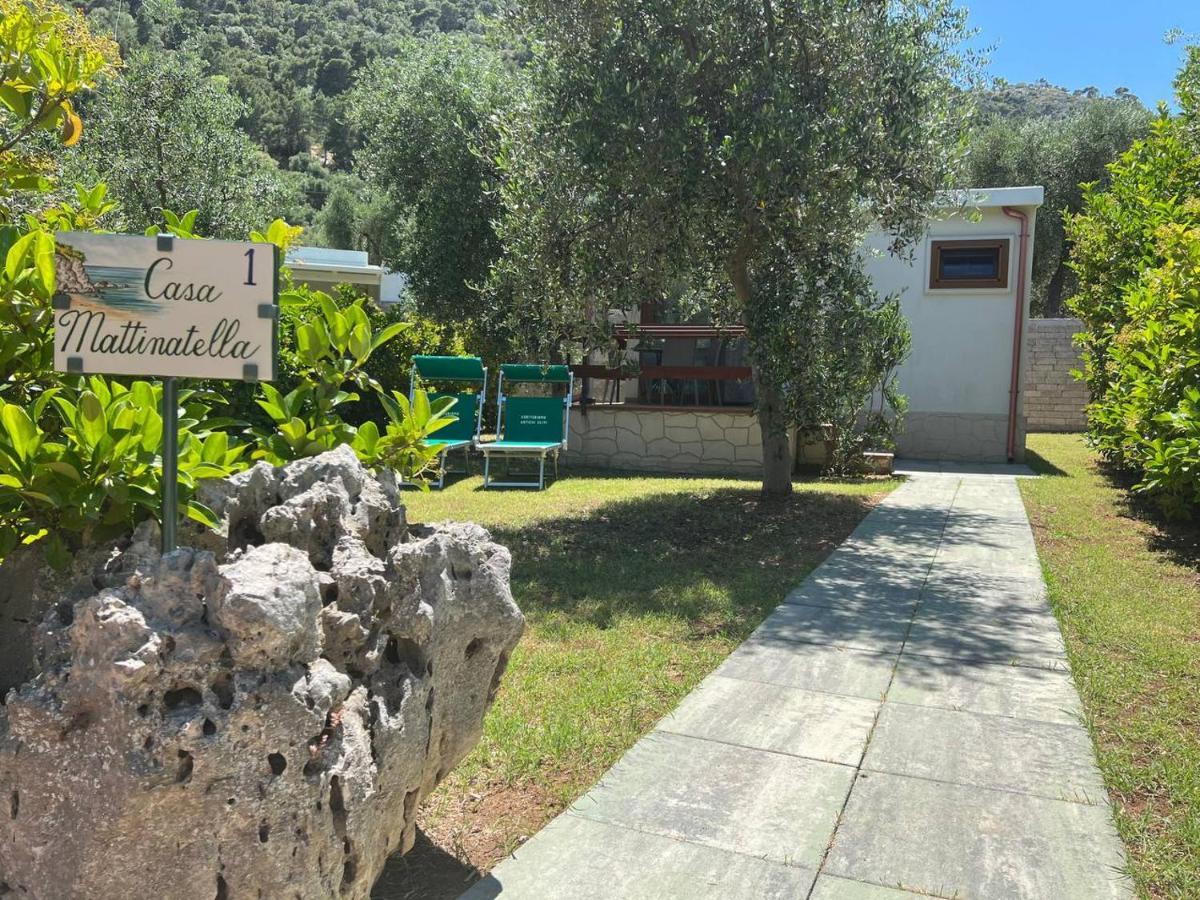 Agriturismo Antichi Ulivi Mattinata Εξωτερικό φωτογραφία