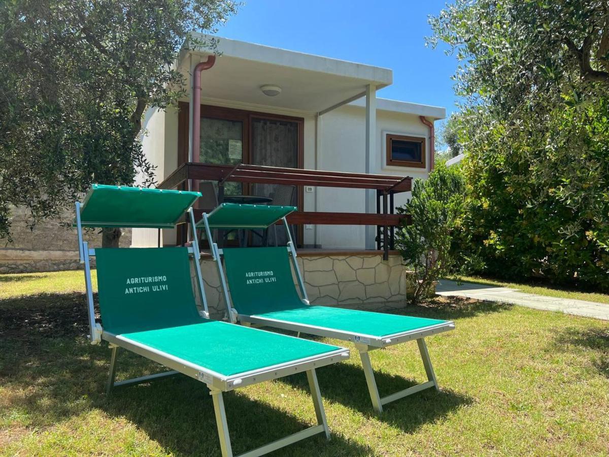 Agriturismo Antichi Ulivi Mattinata Εξωτερικό φωτογραφία