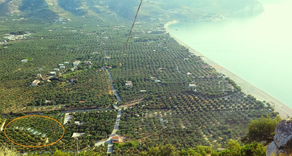 Agriturismo Antichi Ulivi Mattinata Εξωτερικό φωτογραφία