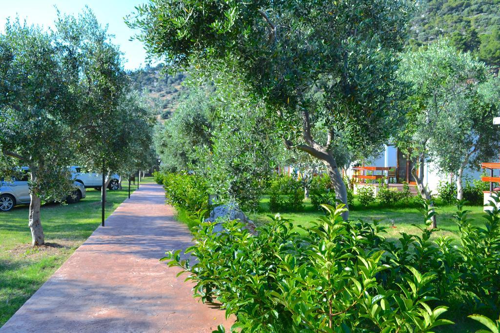 Agriturismo Antichi Ulivi Mattinata Εξωτερικό φωτογραφία