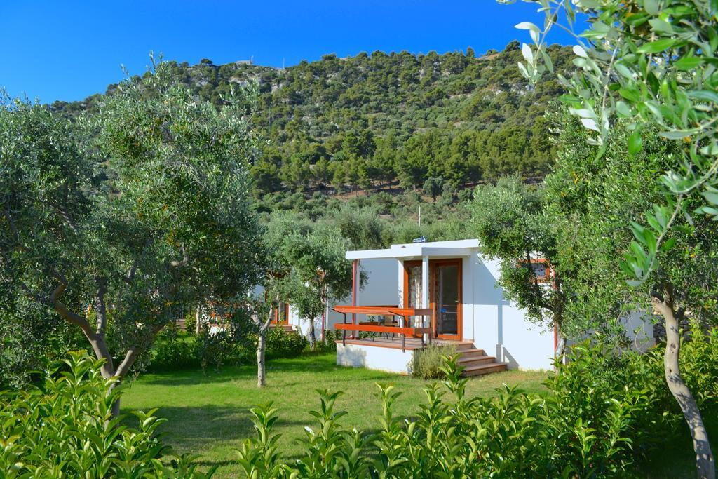Agriturismo Antichi Ulivi Mattinata Εξωτερικό φωτογραφία