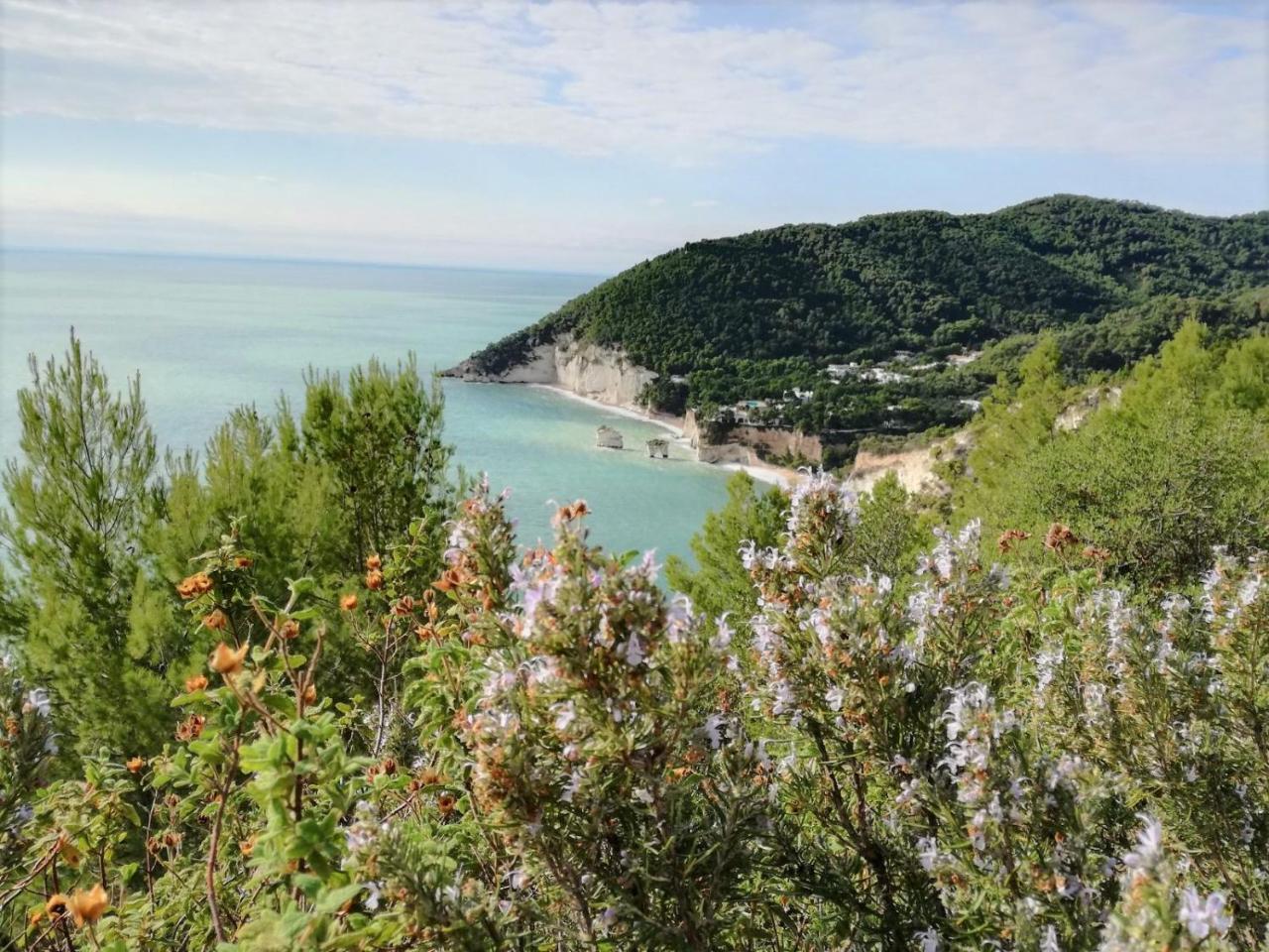 Agriturismo Antichi Ulivi Mattinata Εξωτερικό φωτογραφία