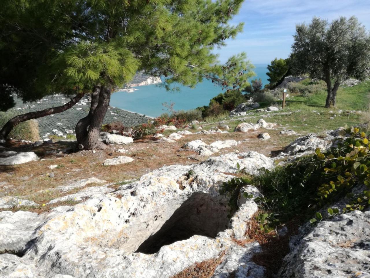 Agriturismo Antichi Ulivi Mattinata Εξωτερικό φωτογραφία