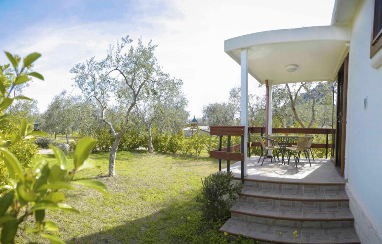 Agriturismo Antichi Ulivi Mattinata Εξωτερικό φωτογραφία