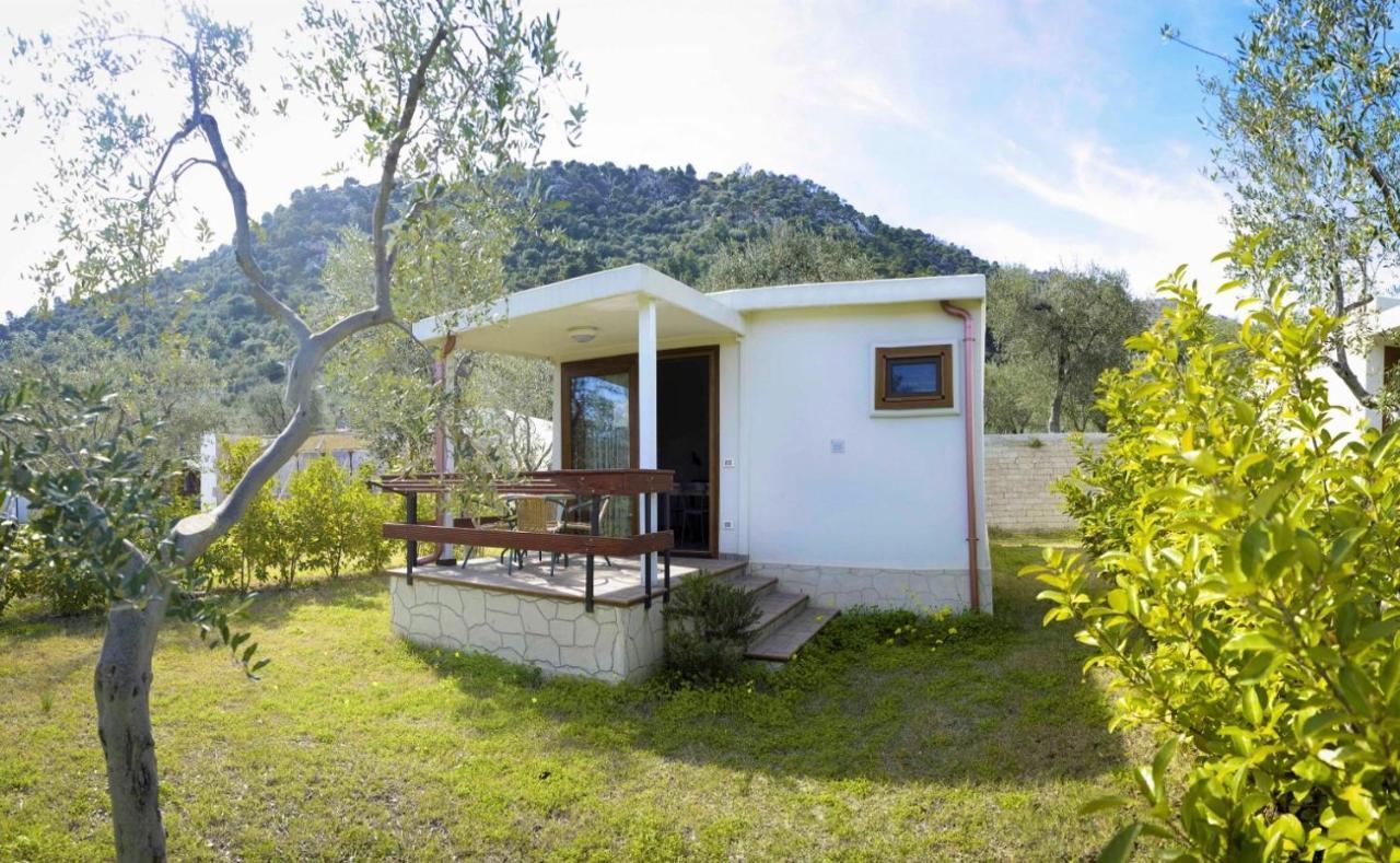 Agriturismo Antichi Ulivi Mattinata Εξωτερικό φωτογραφία
